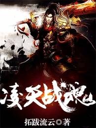 凌天战魂TXT 凌天战魂TXT