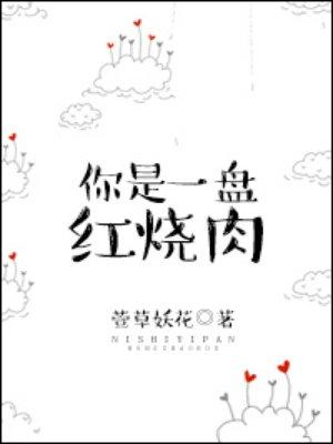 一碗红烧肉阅读理解