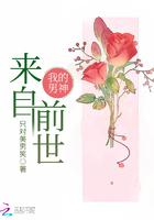我的男神们免费阅读