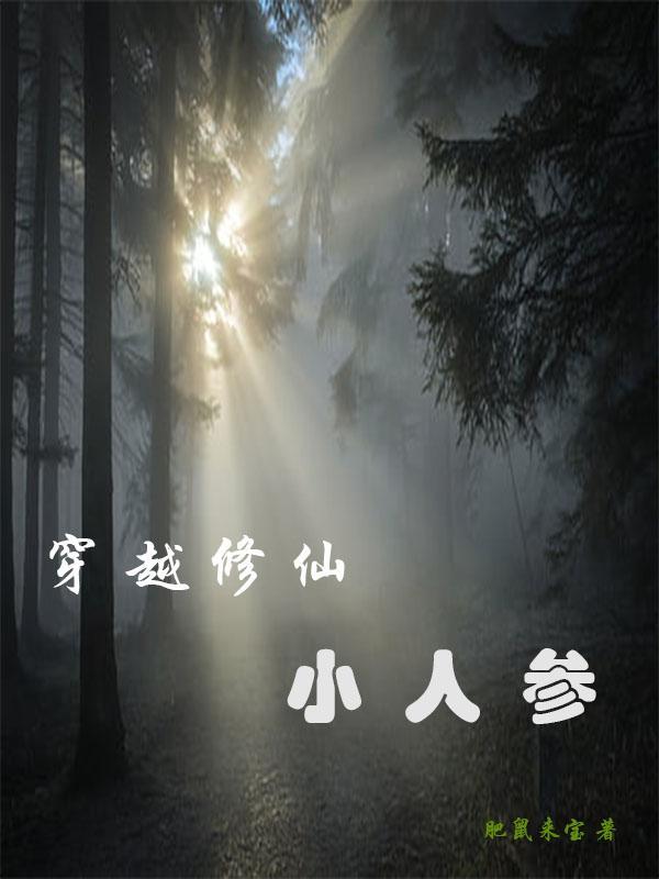 何以倾城风静默止