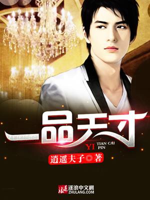 一品天才 一品天才