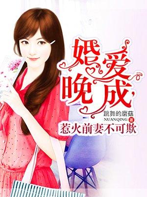 婚爱晚成,惹火前妻不可欺 婚爱晚成,惹火前妻不可欺