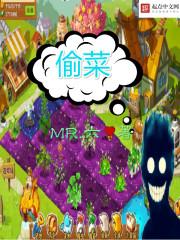 偷菜系统 偷菜系统