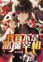 我真不是恶魔宰相 我真不是恶魔宰相